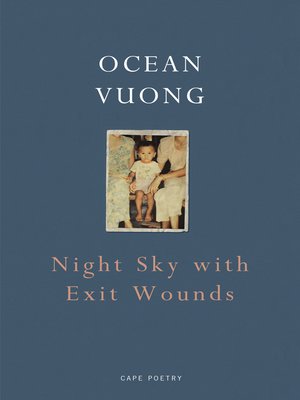 cover image of Night Sky with Exit Wounds